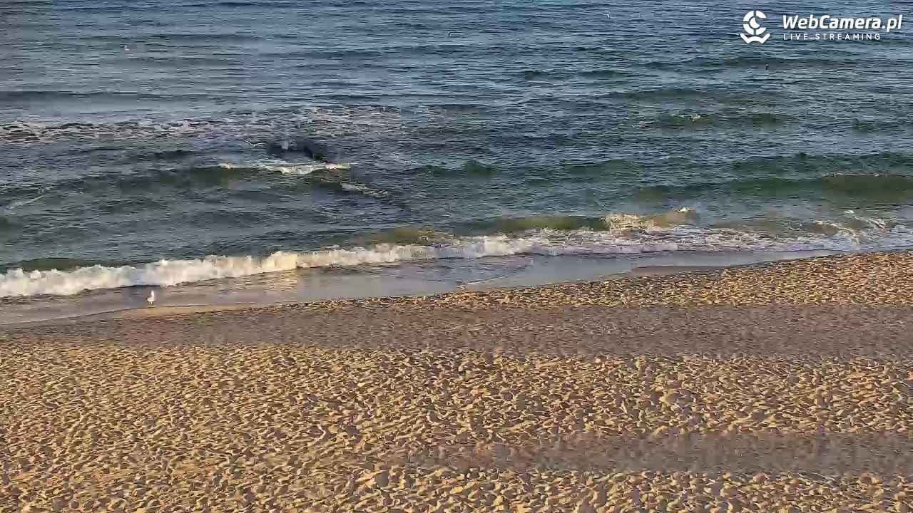 SARBINOWO - widok na plażę - 29 wresień 2025, 07:45