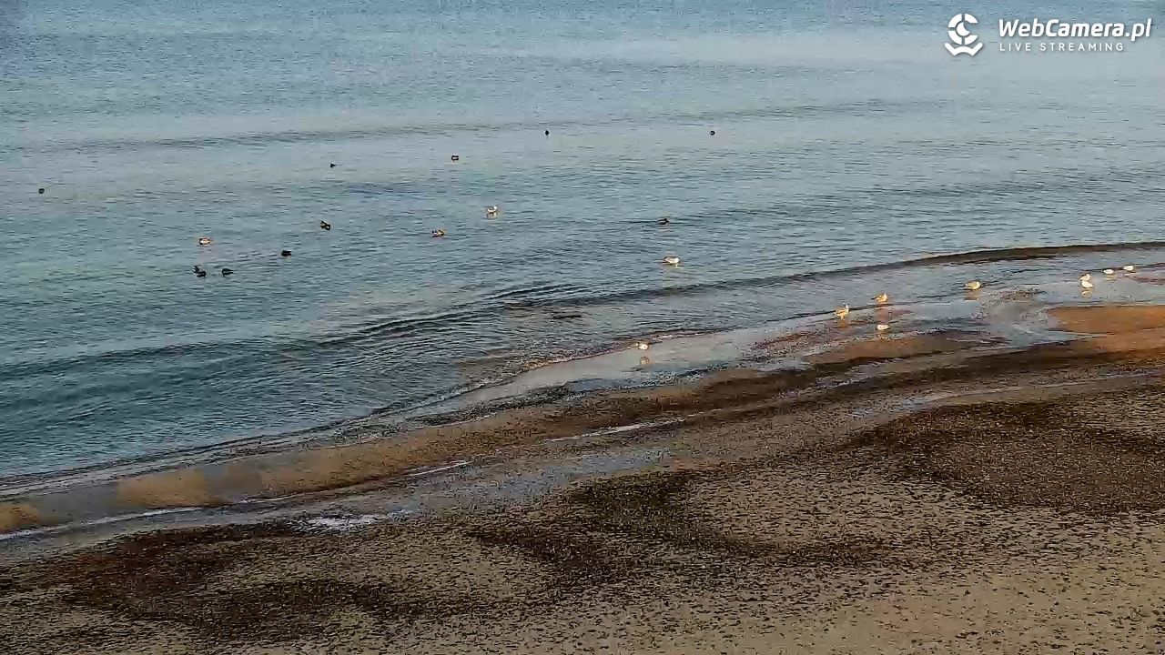 SARBINOWO - widok na plażę - 08 styczeń 2026, 13:32