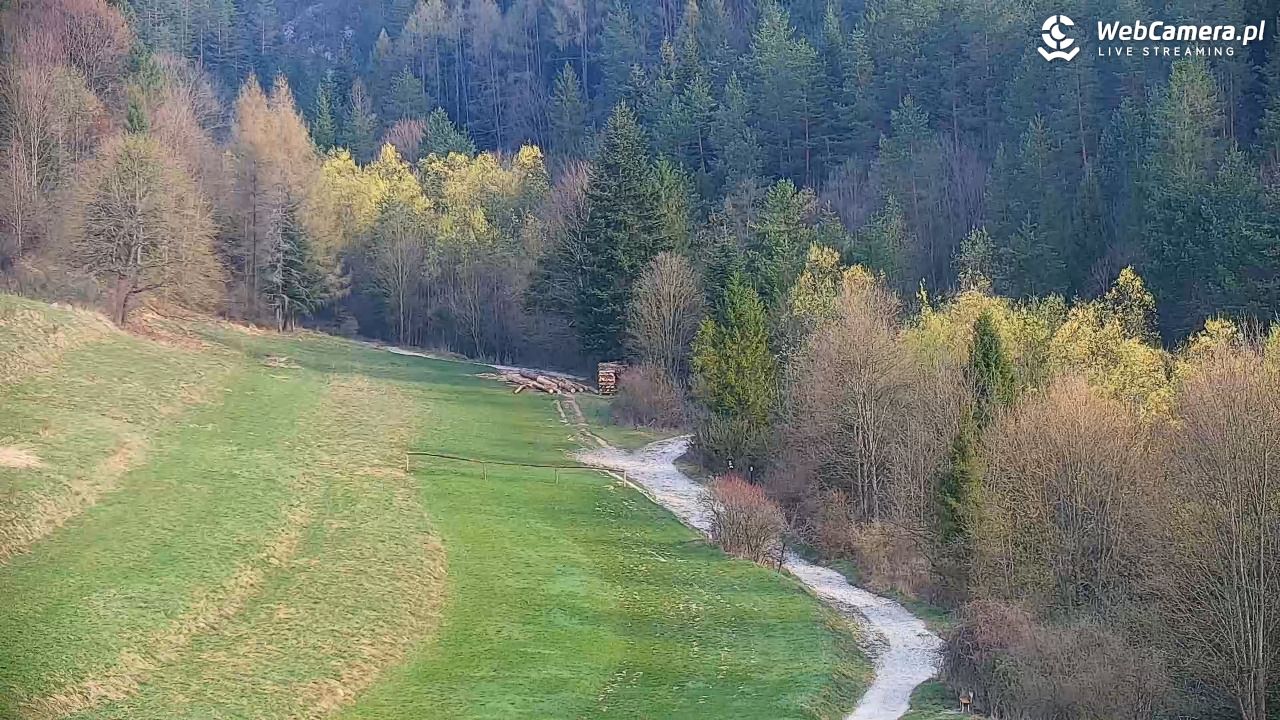 Schronisko PTTK Trzy Korony - 19 kwiecień 2026, 07:51