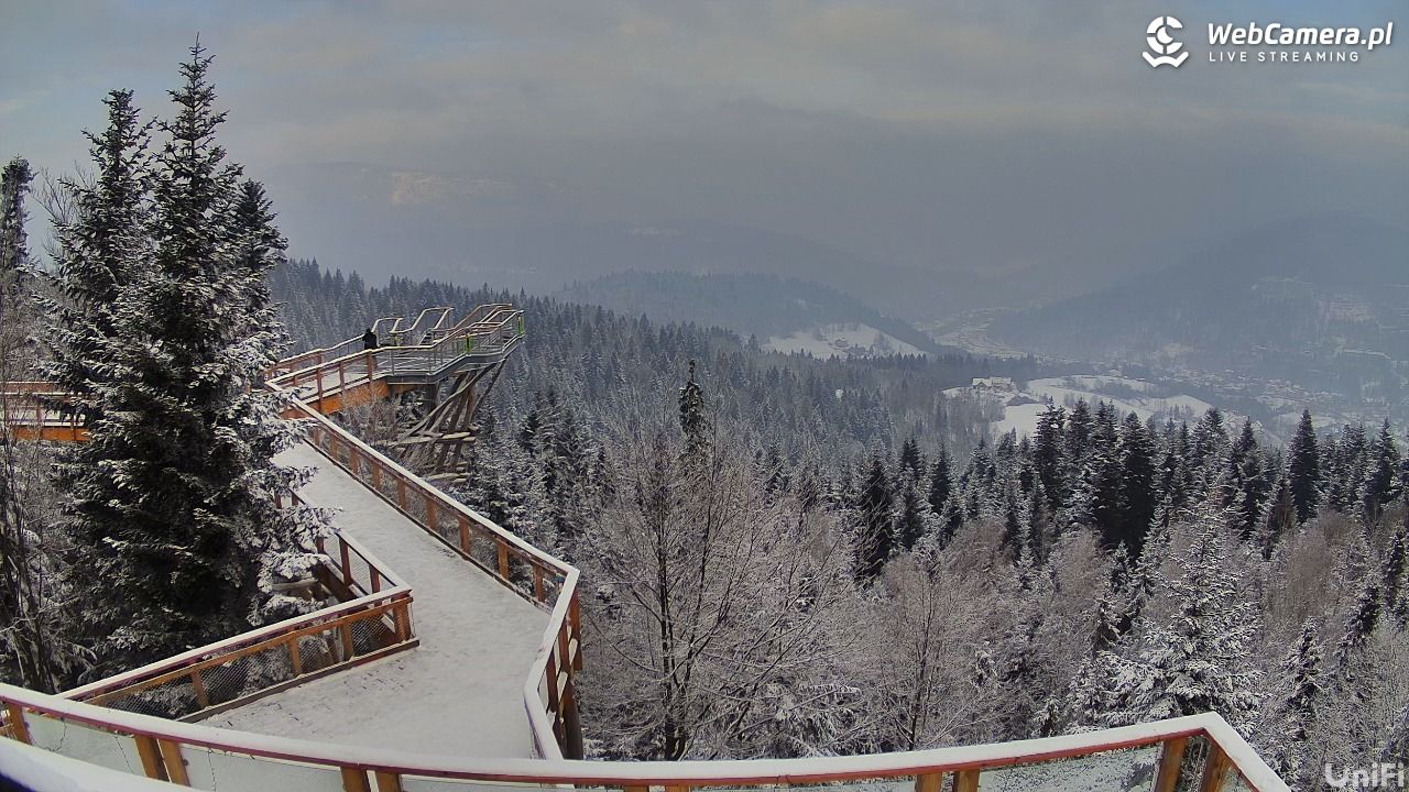 Skolnity Ski&Bike Park - Wieża Widokowa NOWOŚĆ - 10 styczeń 2026, 11:28