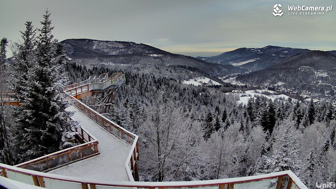 Skolnity Ski&Bike Park - Wieża Widokowa NOWOŚĆ - 09 styczeń 2026, 13:37