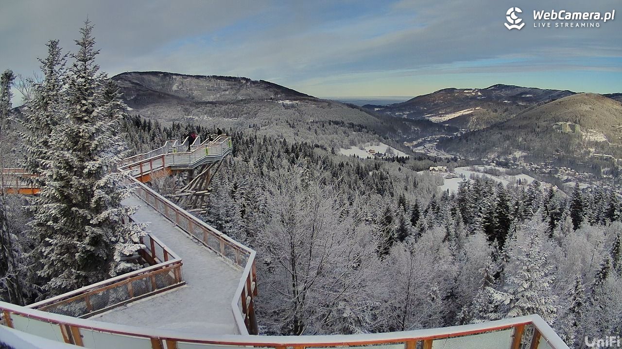 Skolnity Ski&Bike Park - Wieża Widokowa NOWOŚĆ - 09 styczeń 2026, 10:46