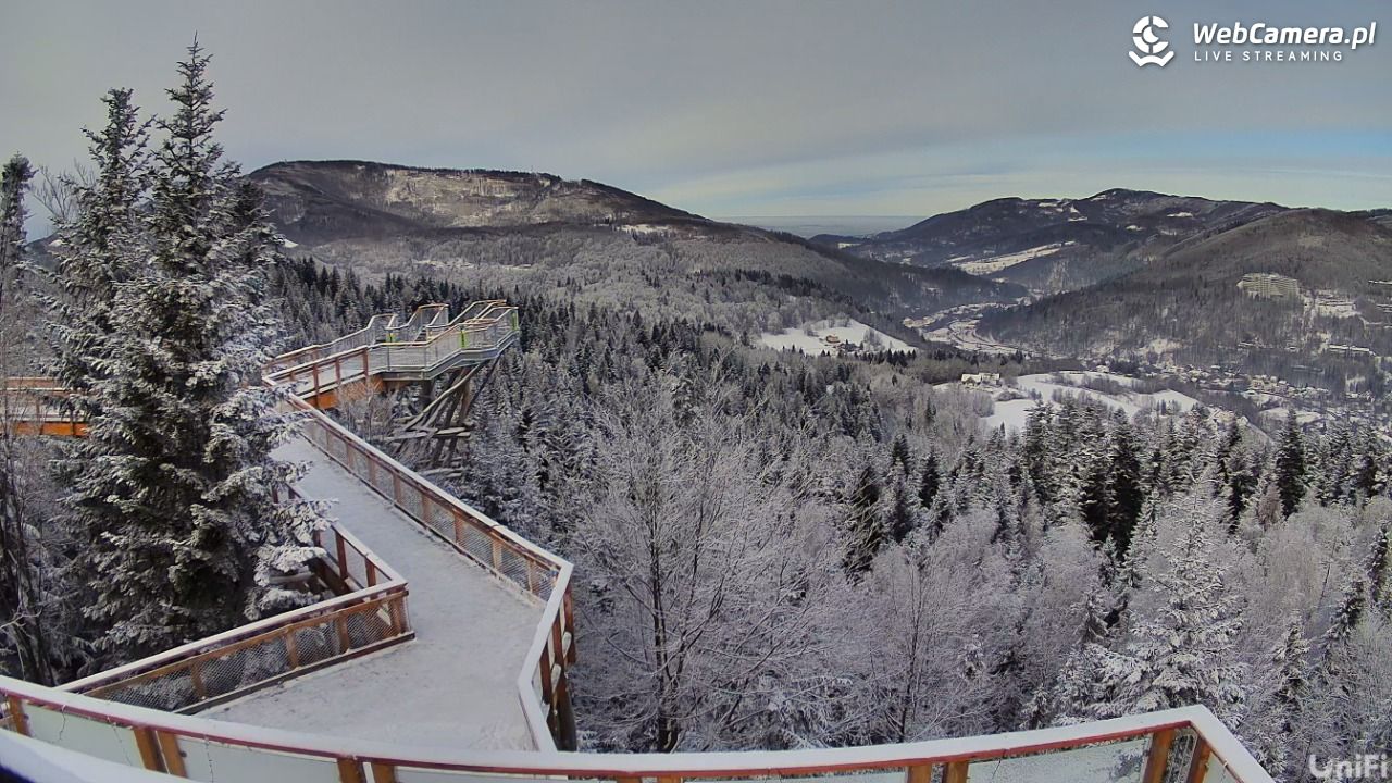 Skolnity Ski&Bike Park - Wieża Widokowa NOWOŚĆ - 09 styczeń 2026, 12:22