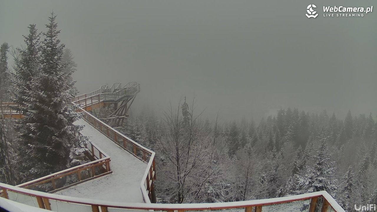 Skolnity Ski&Bike Park - Wieża Widokowa NOWOŚĆ - 10 styczeń 2026, 10:18