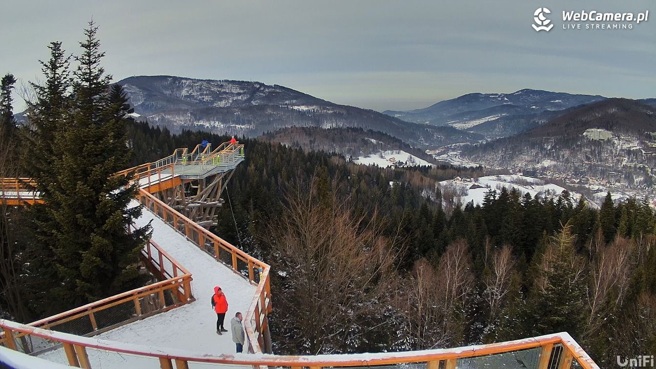 Skolnity Ski&Bike Park - Wieża Widokowa NOWOŚĆ - 05 styczeń 2026, 13:29