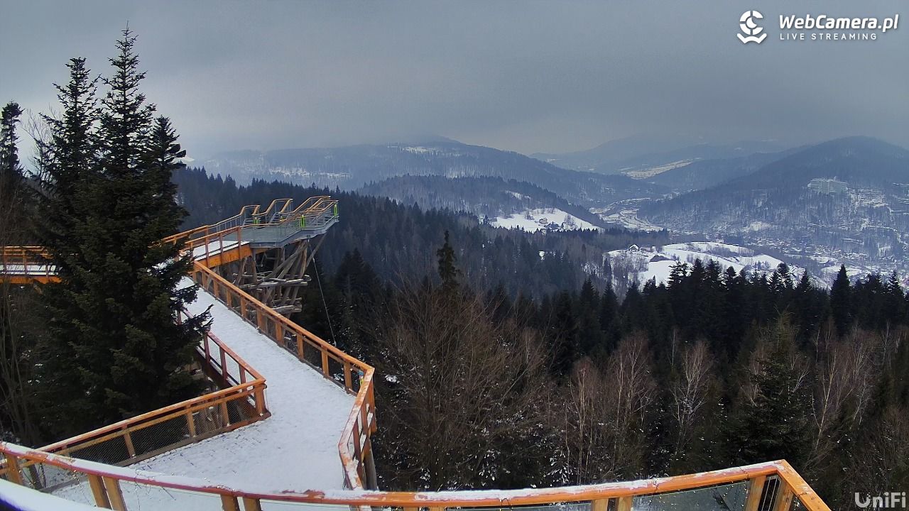 Skolnity Ski&Bike Park - Wieża Widokowa NOWOŚĆ - 07 styczeń 2026, 13:58