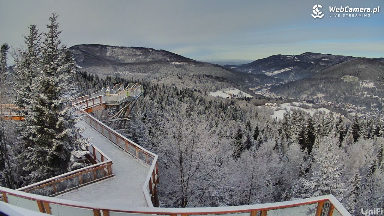 Skolnity Ski&Bike Park - Wieża Widokowa NOWOŚĆ - 09 styczeń 2026, 12:06