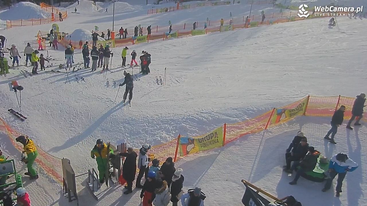 Wisła Skolnity Ski&Bike Park – Polana Pingwina - 20 luty 2026, 12:59