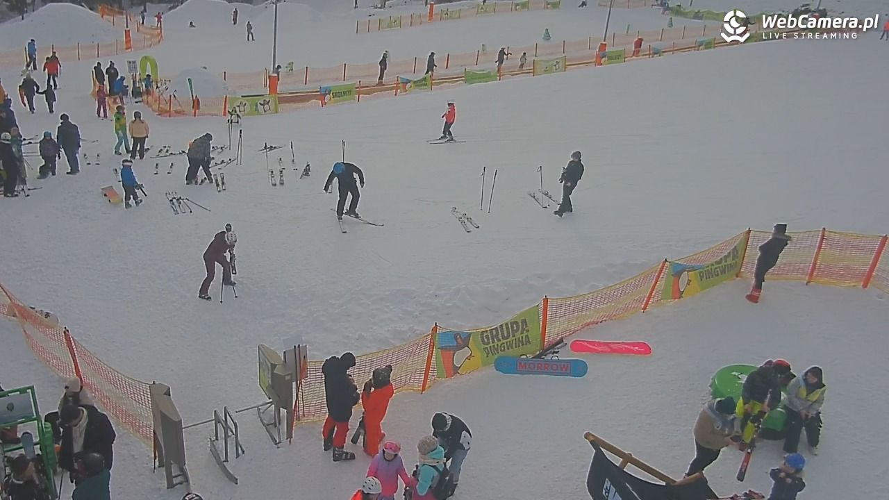Wisła Skolnity Ski&Bike Park – Polana Pingwina - 19 luty 2026, 11:00