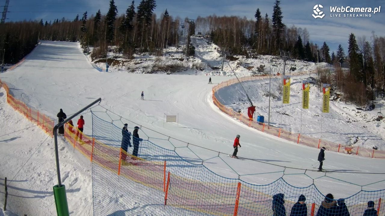 Wisła Skolnity Ski&Bike Park - 21 luty 2026, 09:41