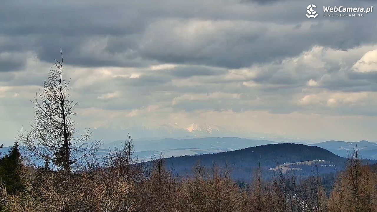 Jaworzyna Krynicka-ski - 22 marzec 2026, 12:39