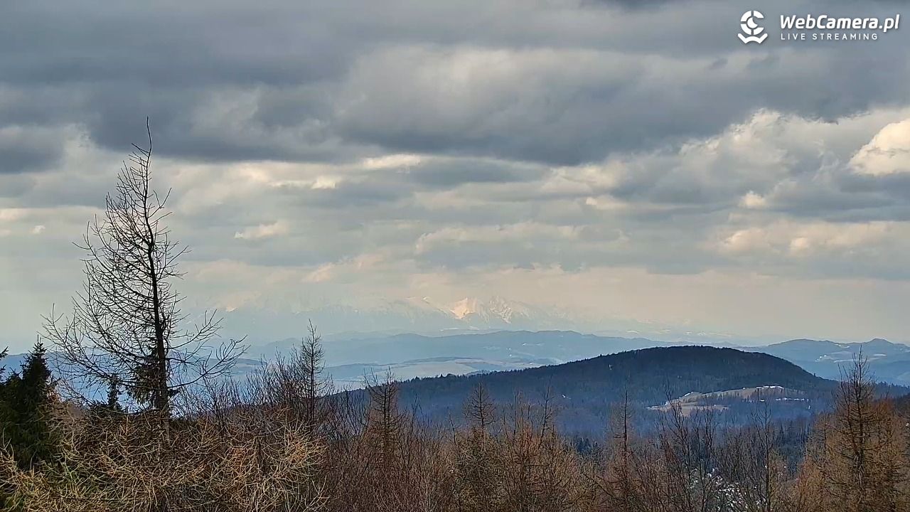 Jaworzyna Krynicka-ski - 22 marzec 2026, 12:39