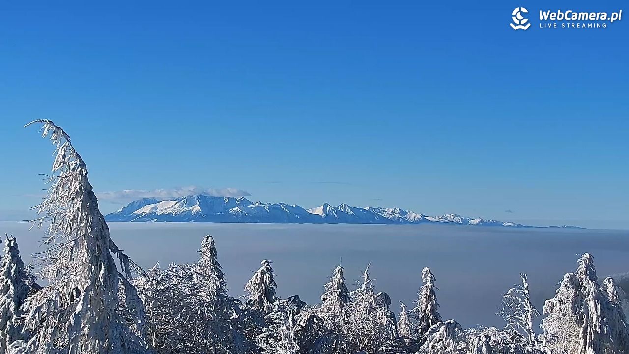 Jaworzyna Krynicka-ski - 01 luty 2026, 10:53