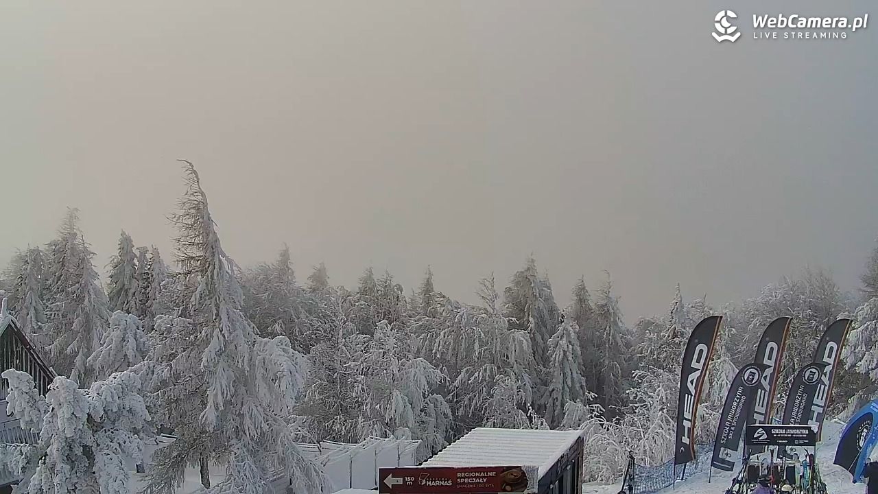 Jaworzyna Krynicka-ski - 01 luty 2026, 11:58