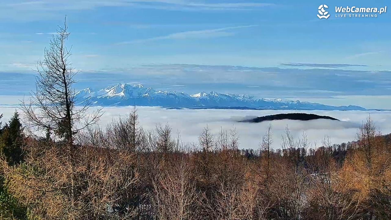 Jaworzyna Krynicka-ski - 10 grudzień 2025, 10:05