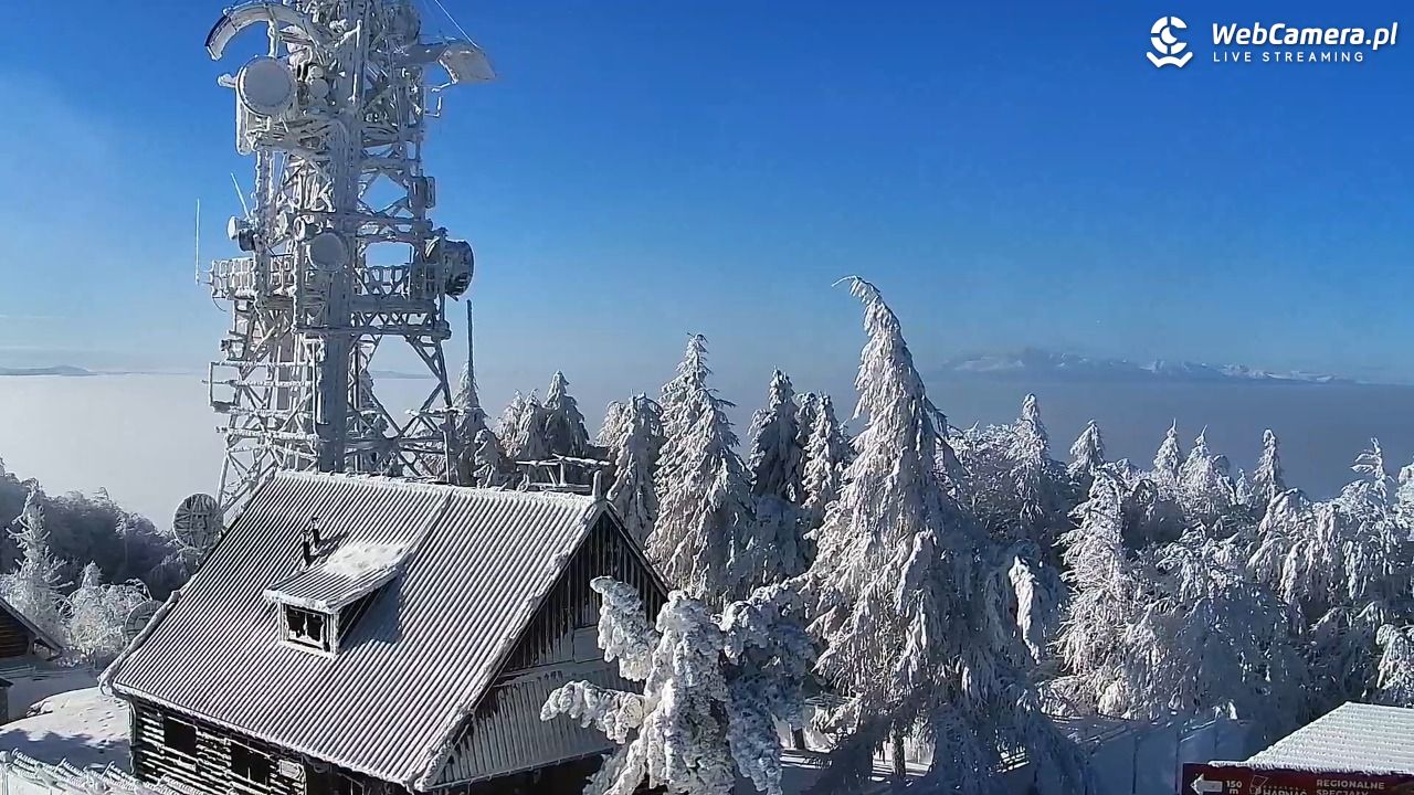 Jaworzyna Krynicka-ski - 01 luty 2026, 10:22