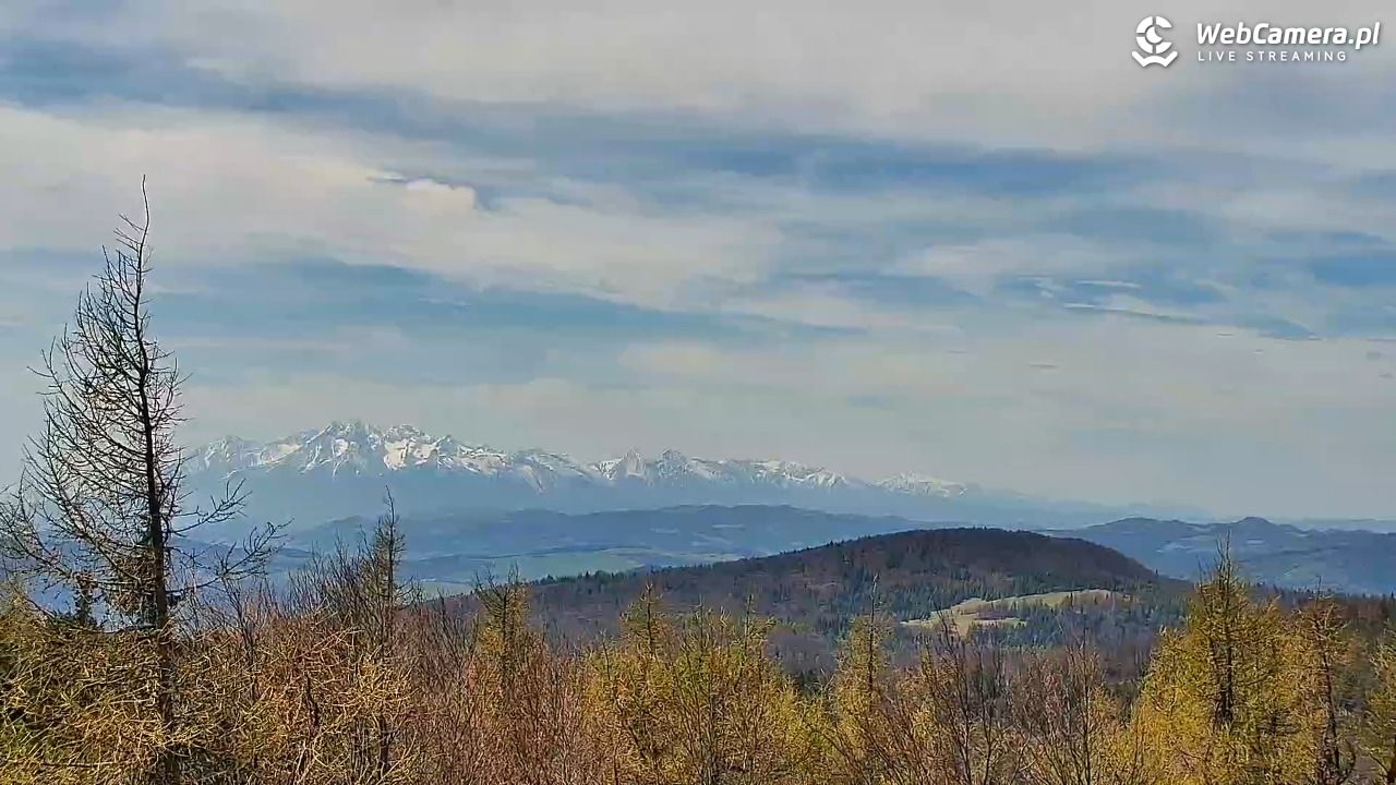 Jaworzyna Krynicka-ski - 05 maj 2026, 12:02