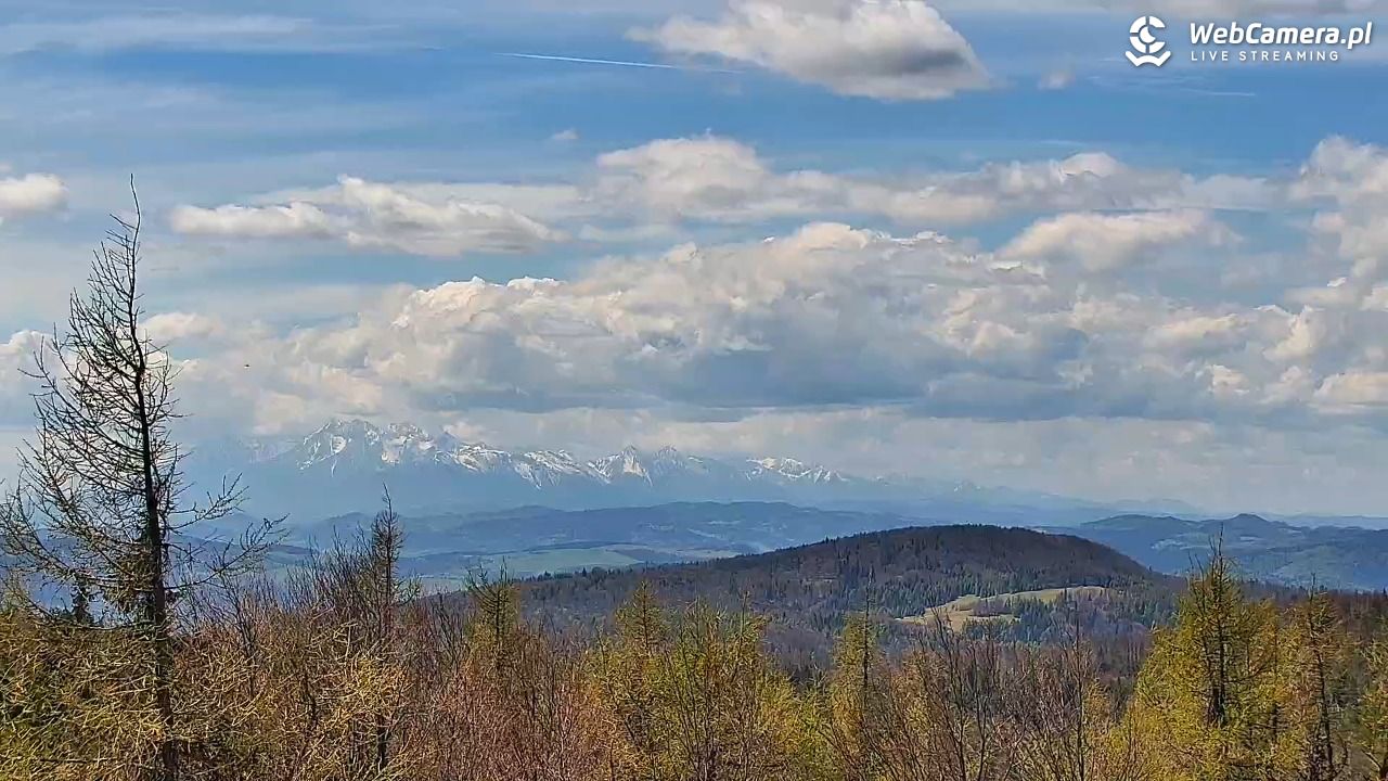 Jaworzyna Krynicka-ski - 06 maj 2026, 12:46