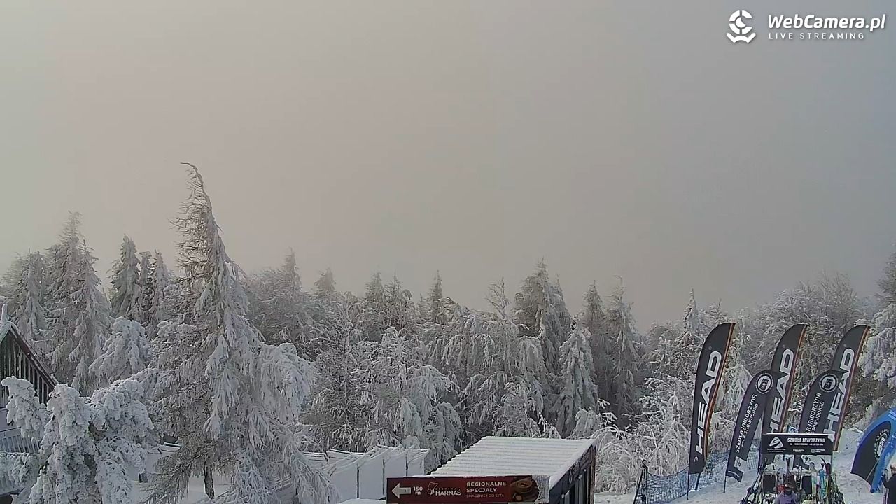 Jaworzyna Krynicka-ski - 01 luty 2026, 11:58