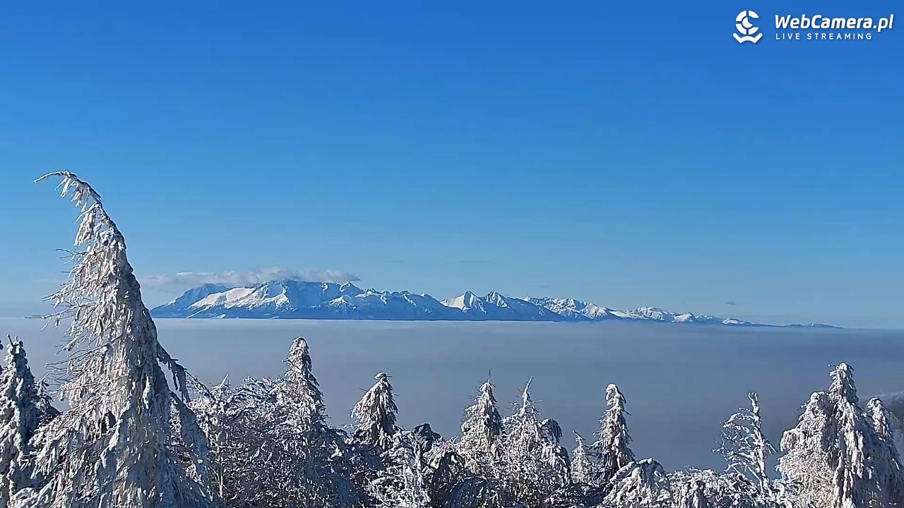 Jaworzyna Krynicka-ski - 01 luty 2026, 10:53