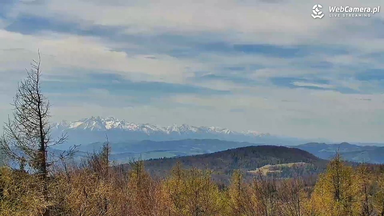 Jaworzyna Krynicka-ski - 05 maj 2026, 11:55