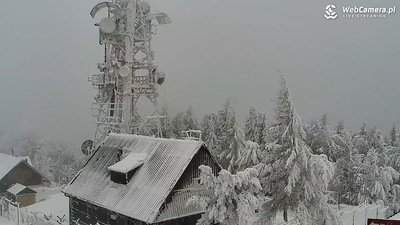 Jaworzyna Krynicka-ski - 01 luty 2026, 15:32