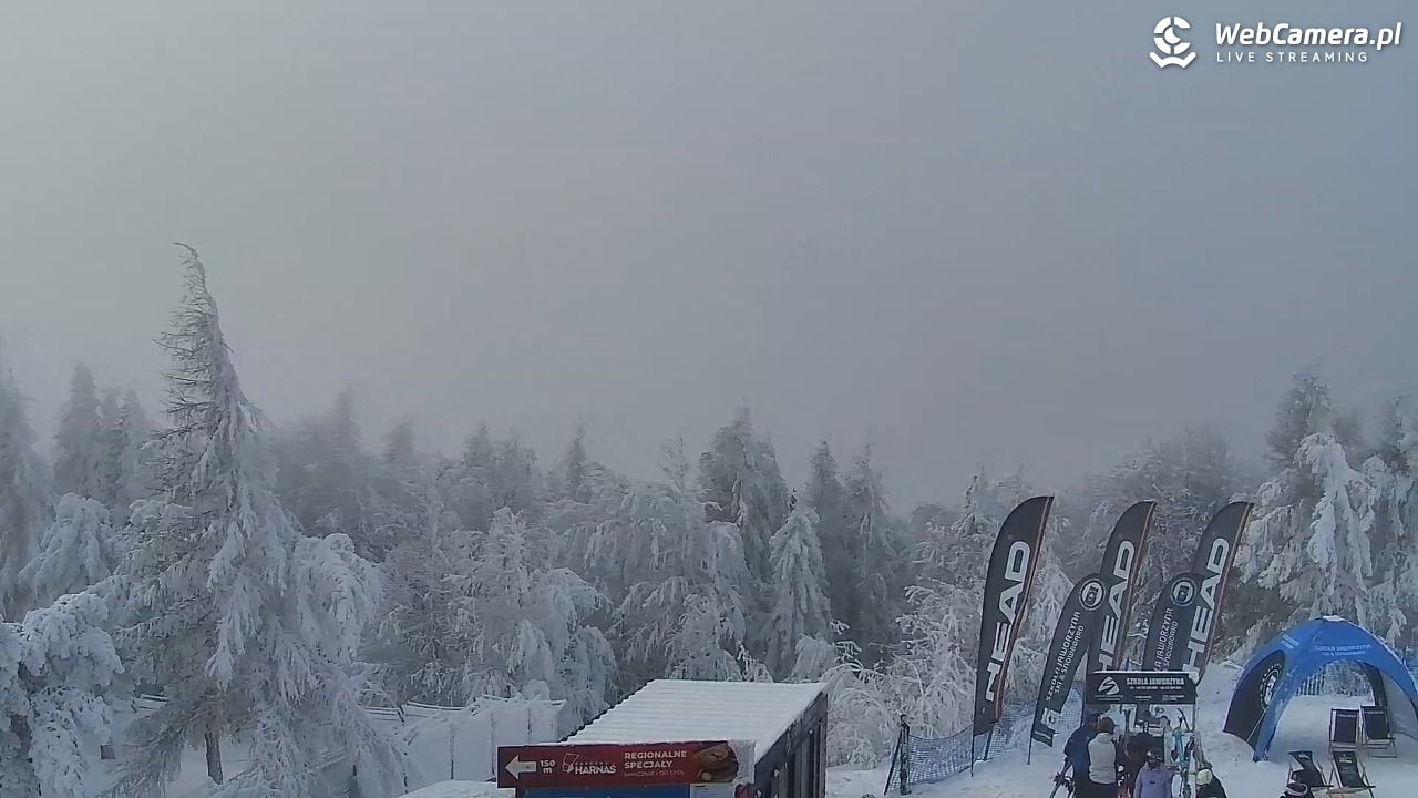 Jaworzyna Krynicka-ski - 01 luty 2026, 12:00