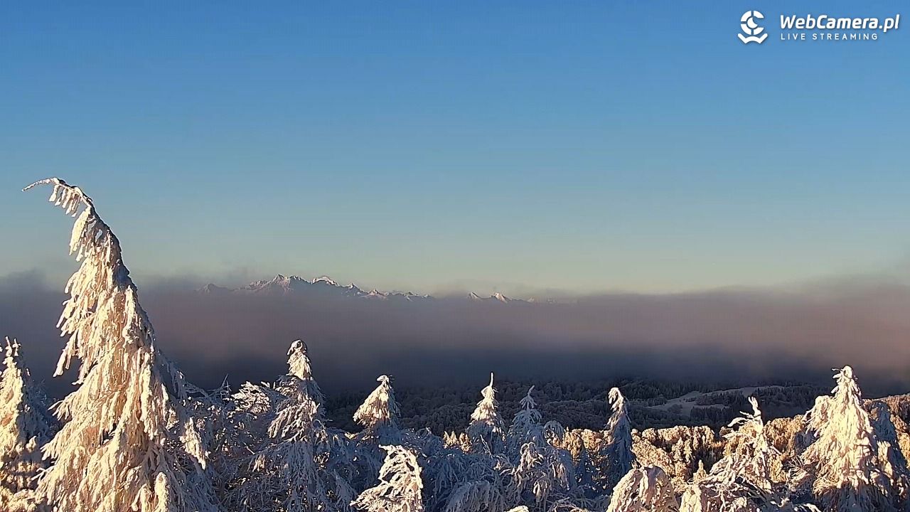 Jaworzyna Krynicka-ski - 01 luty 2026, 07:52