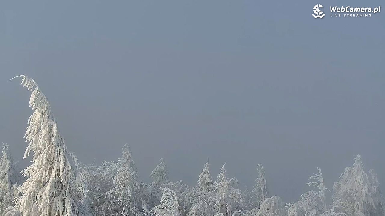 Jaworzyna Krynicka-ski - 01 luty 2026, 08:45