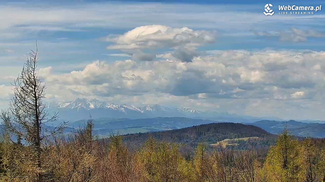 Jaworzyna Krynicka-ski - 06 maj 2026, 12:32