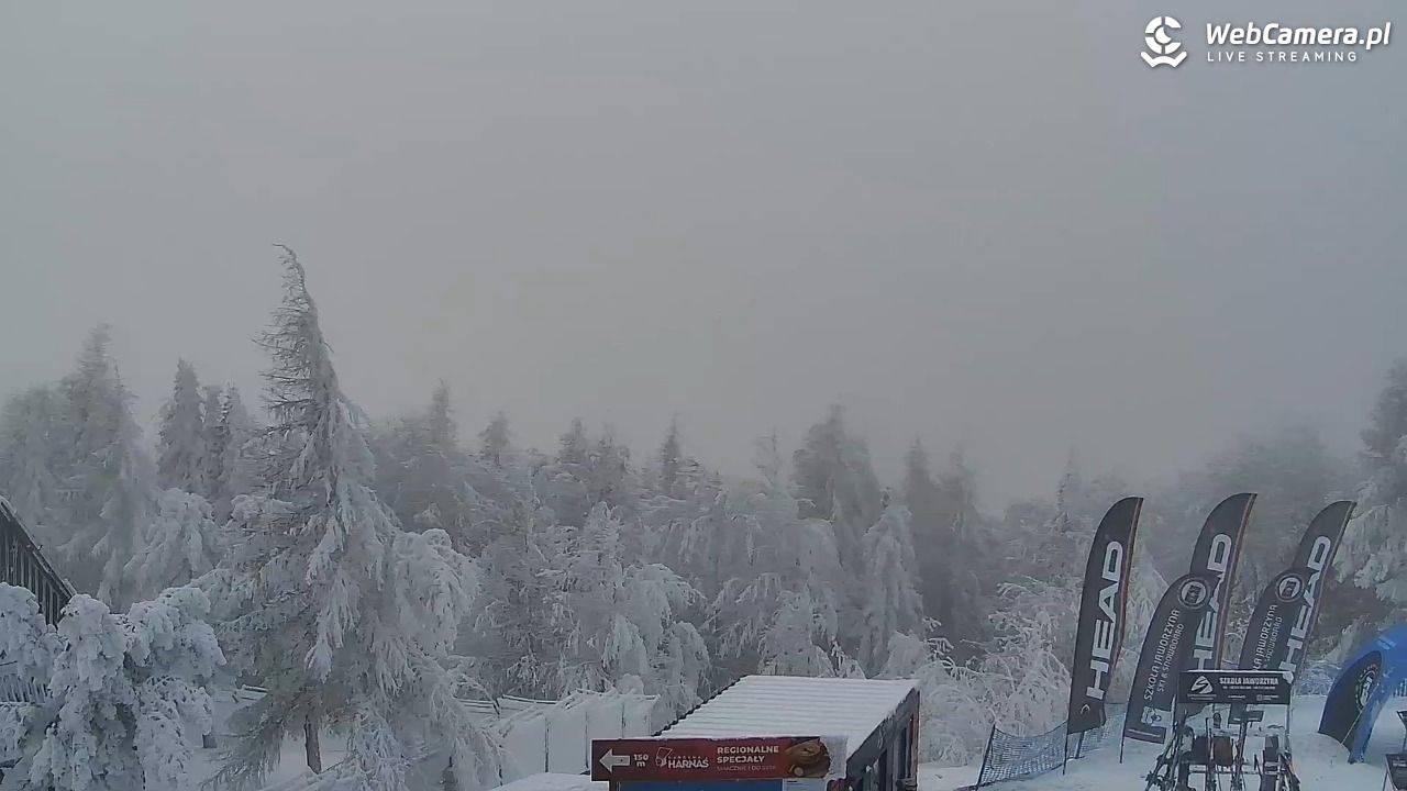 Jaworzyna Krynicka-ski - 01 luty 2026, 12:30