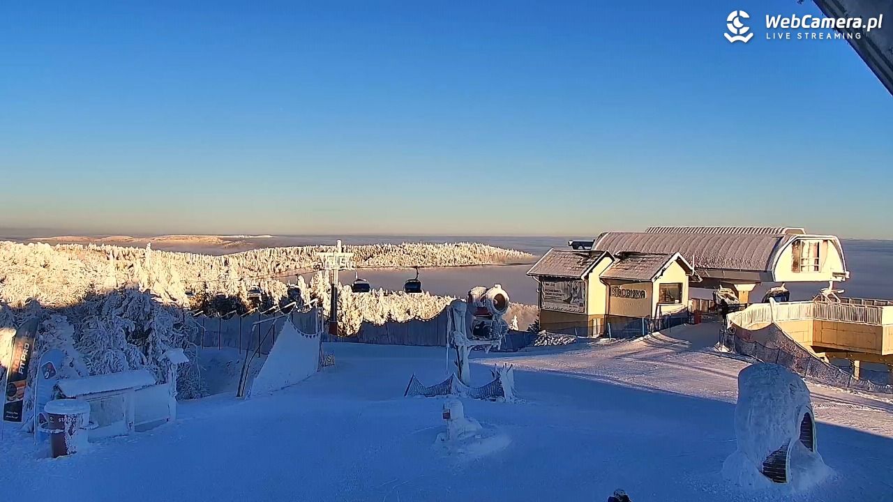 Jaworzyna Krynicka-ski - 01 luty 2026, 07:51