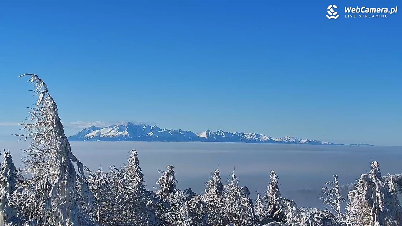 Jaworzyna Krynicka-ski - 01 luty 2026, 11:09