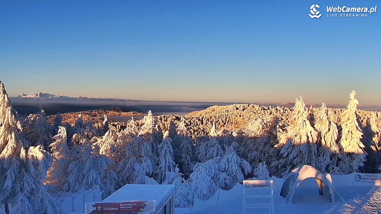 Jaworzyna Krynicka-ski - 01 luty 2026, 07:35