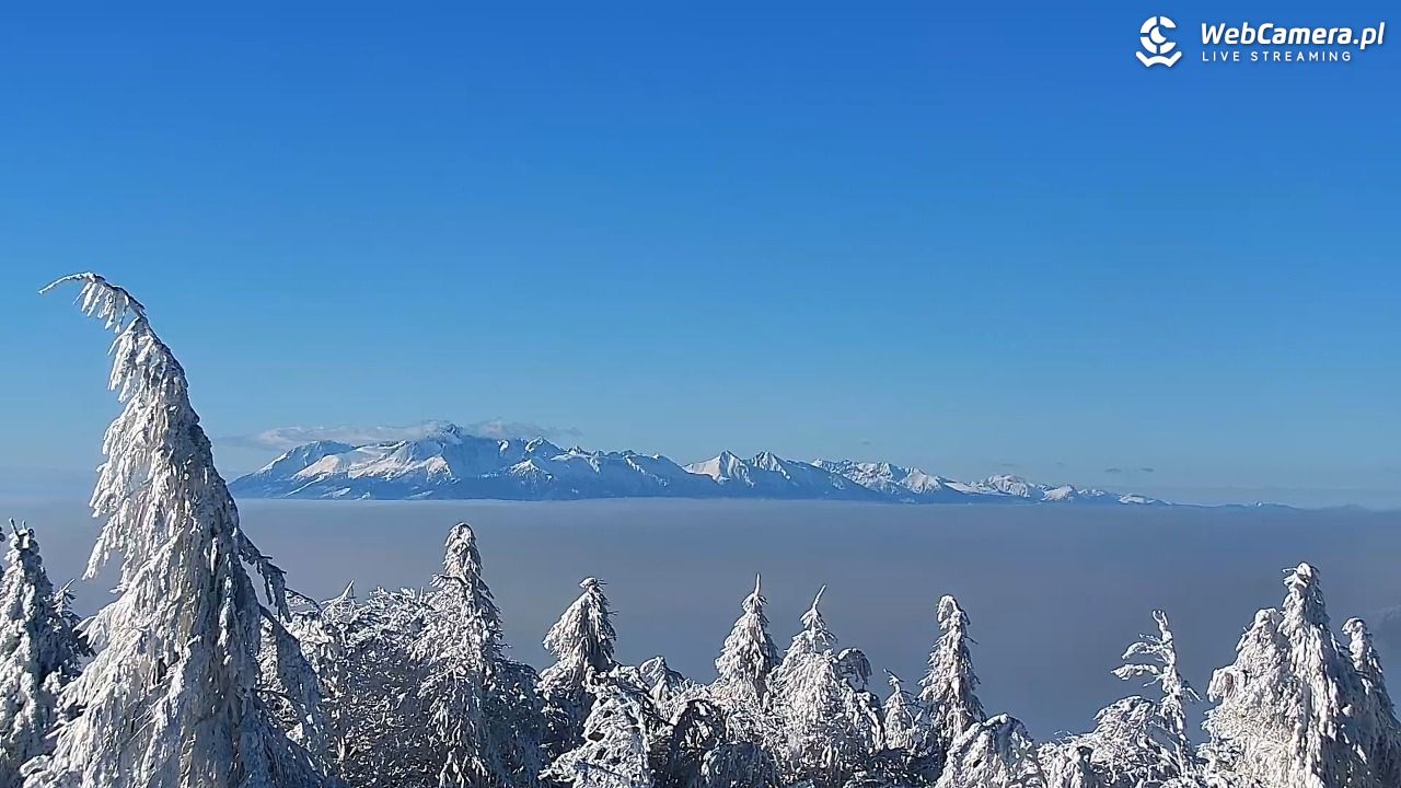 Jaworzyna Krynicka-ski - 01 luty 2026, 10:23