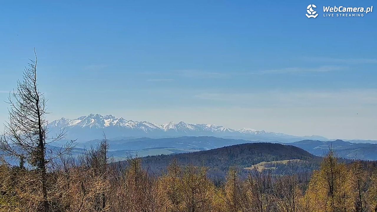 Jaworzyna Krynicka-ski - 04 maj 2026, 13:34
