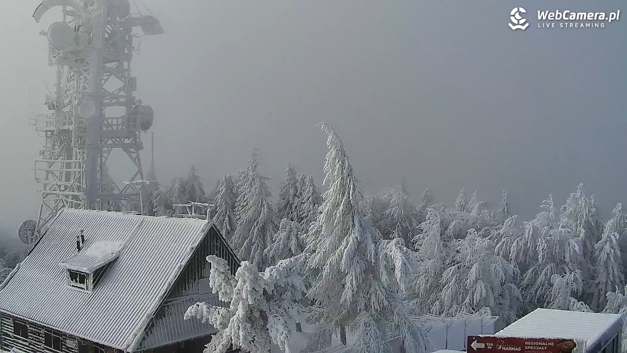 Jaworzyna Krynicka-ski - 01 luty 2026, 10:04