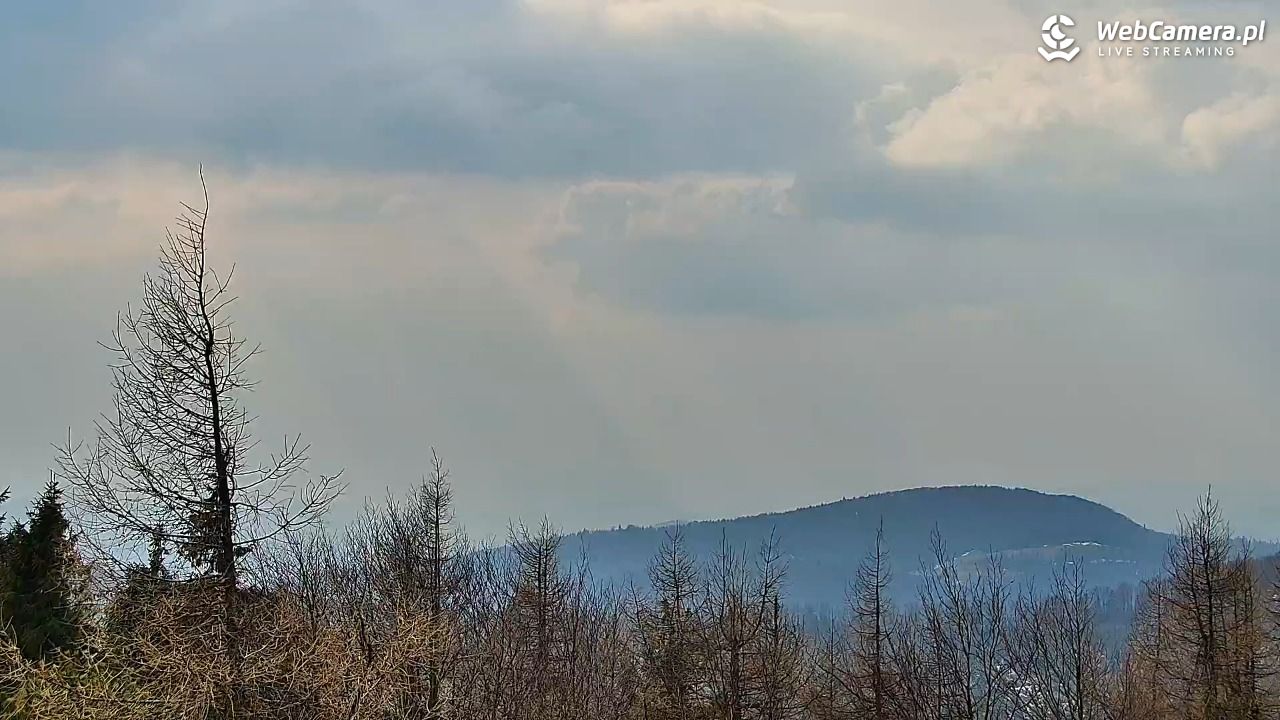 Jaworzyna Krynicka-ski - 20 marzec 2026, 13:35