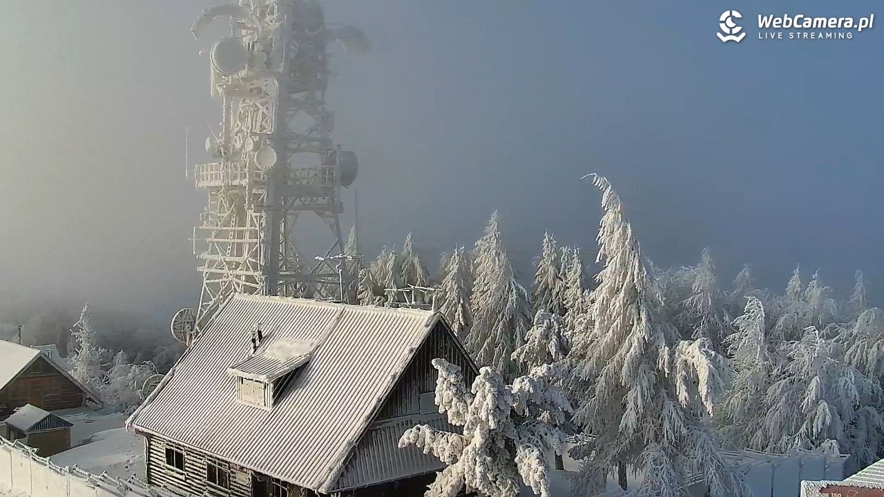 Jaworzyna Krynicka-ski - 01 luty 2026, 08:27