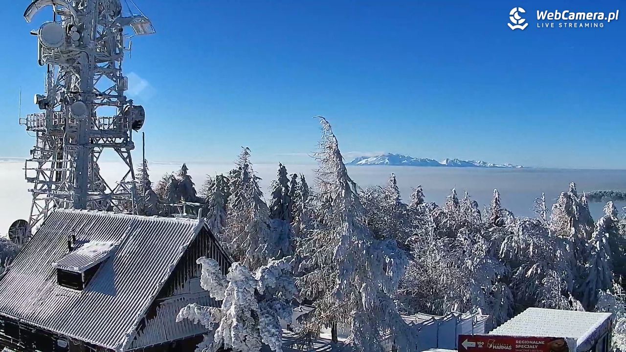 Jaworzyna Krynicka-ski - 01 luty 2026, 11:23