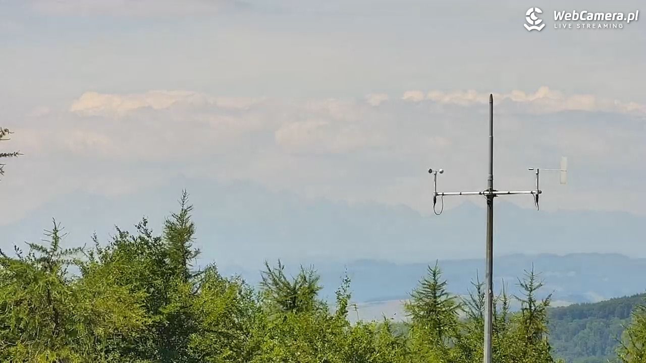 Jaworzyna Krynicka-ski - 06 lipiec 2025, 11:10