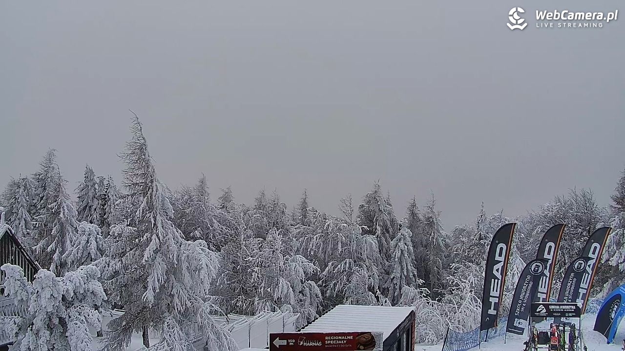 Jaworzyna Krynicka-ski - 01 luty 2026, 14:06
