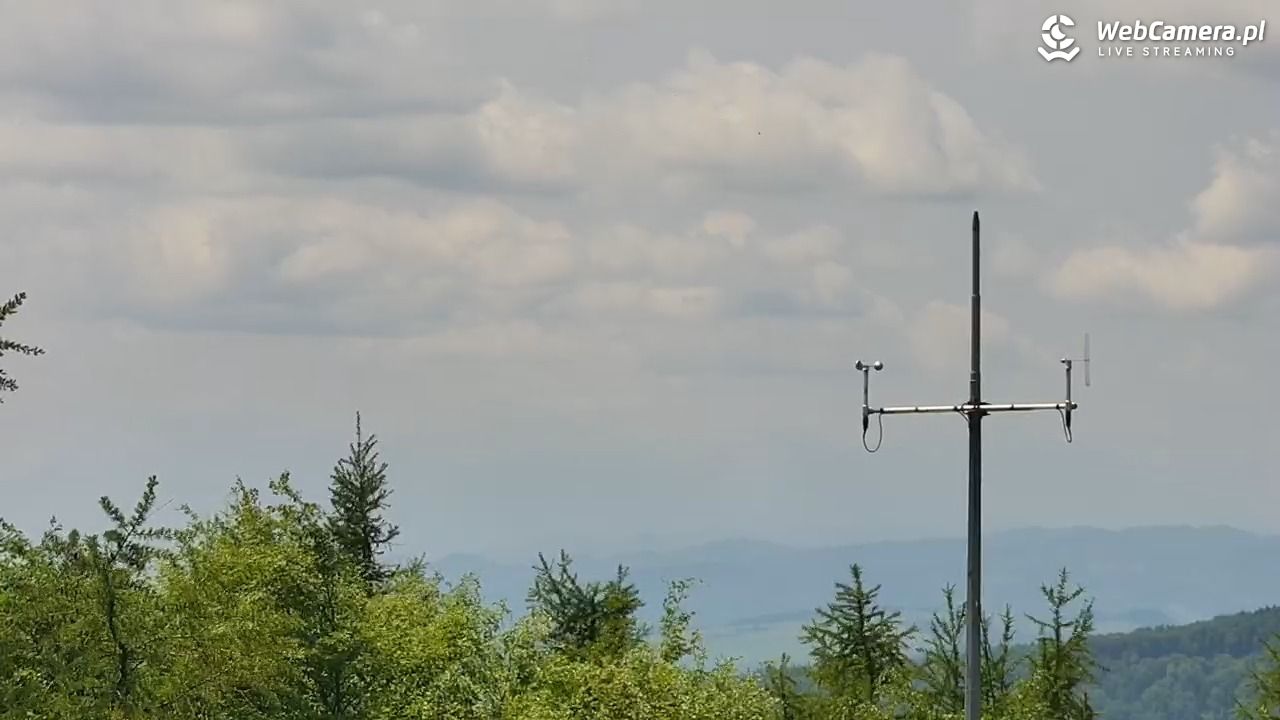 Jaworzyna Krynicka-ski - 10 czerwiec 2025, 12:42
