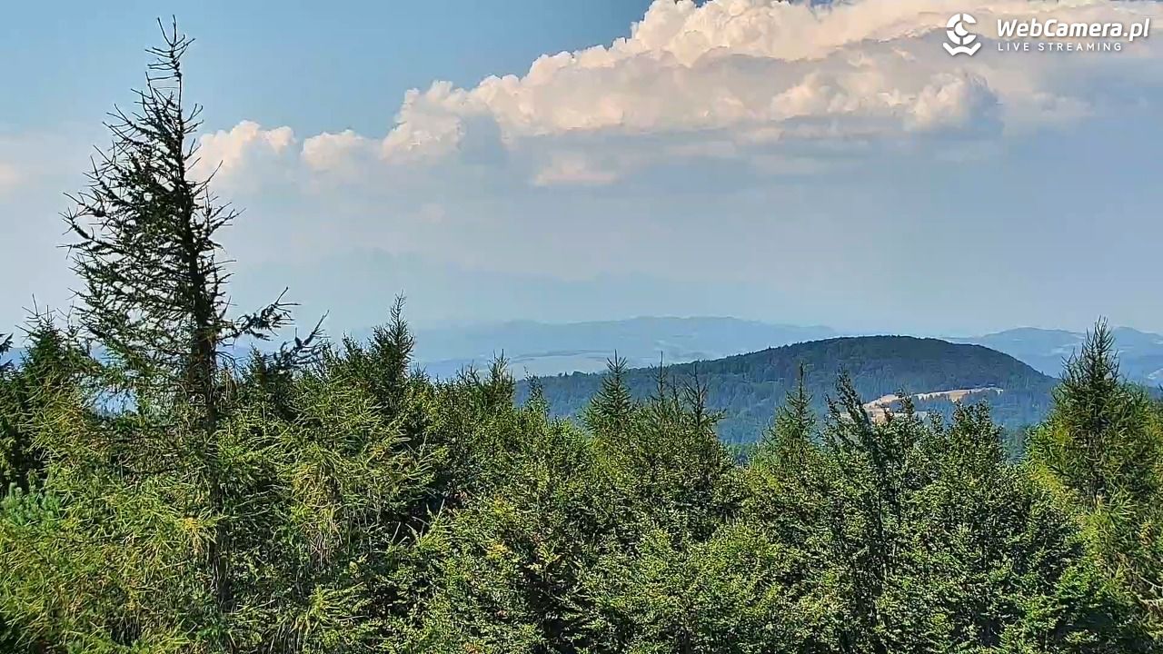 Jaworzyna Krynicka-ski - 06 sierpień 2026, 11:35