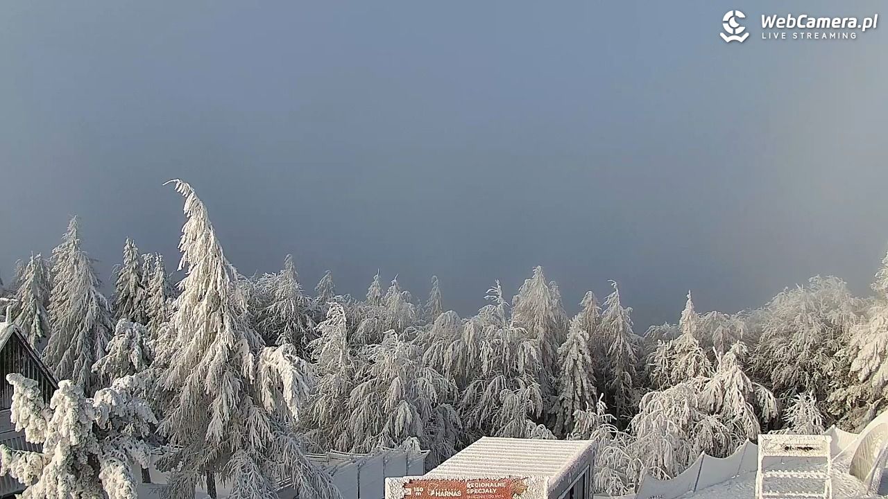 Jaworzyna Krynicka-ski - 01 luty 2026, 08:39