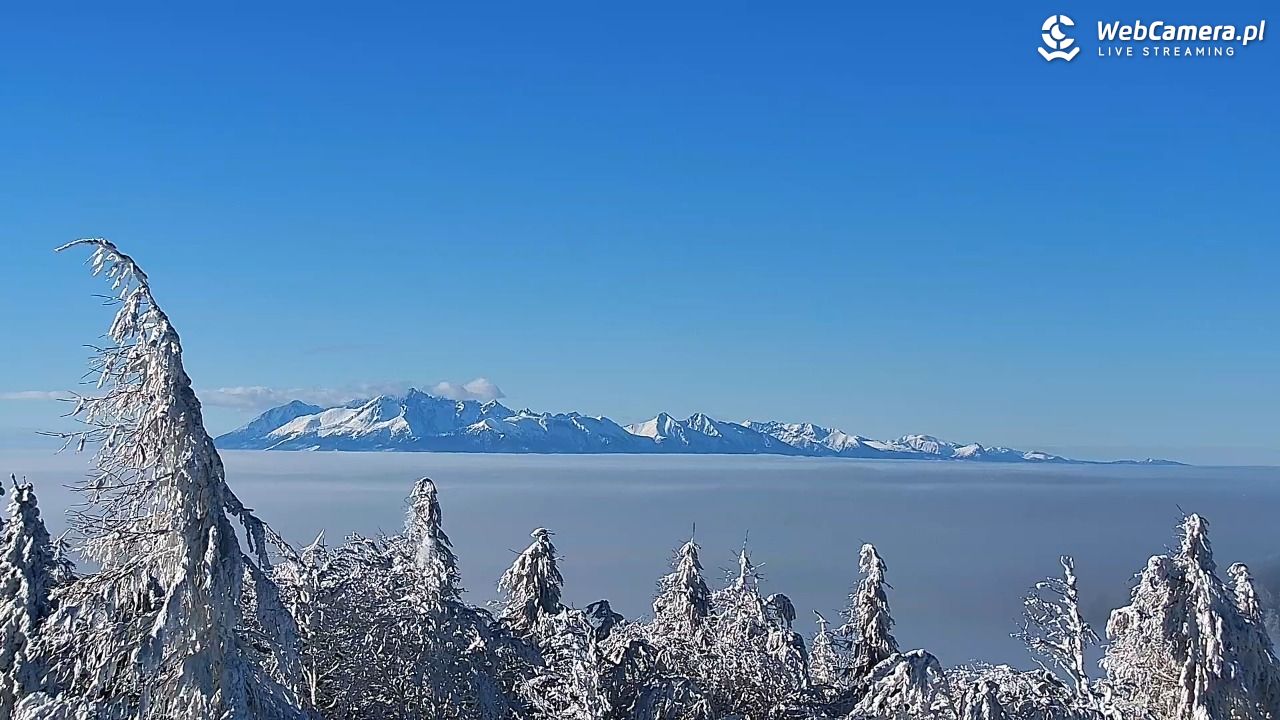 Jaworzyna Krynicka-ski - 01 luty 2026, 11:01