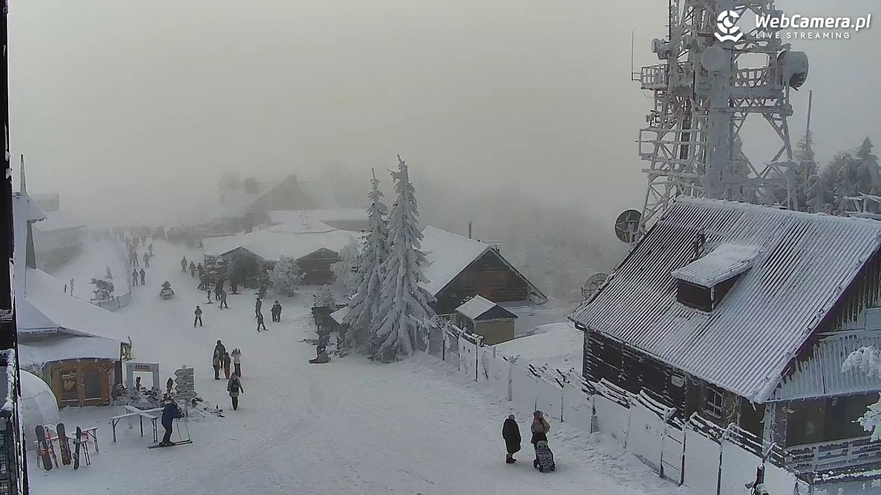 Jaworzyna Krynicka-ski - 01 luty 2026, 11:59