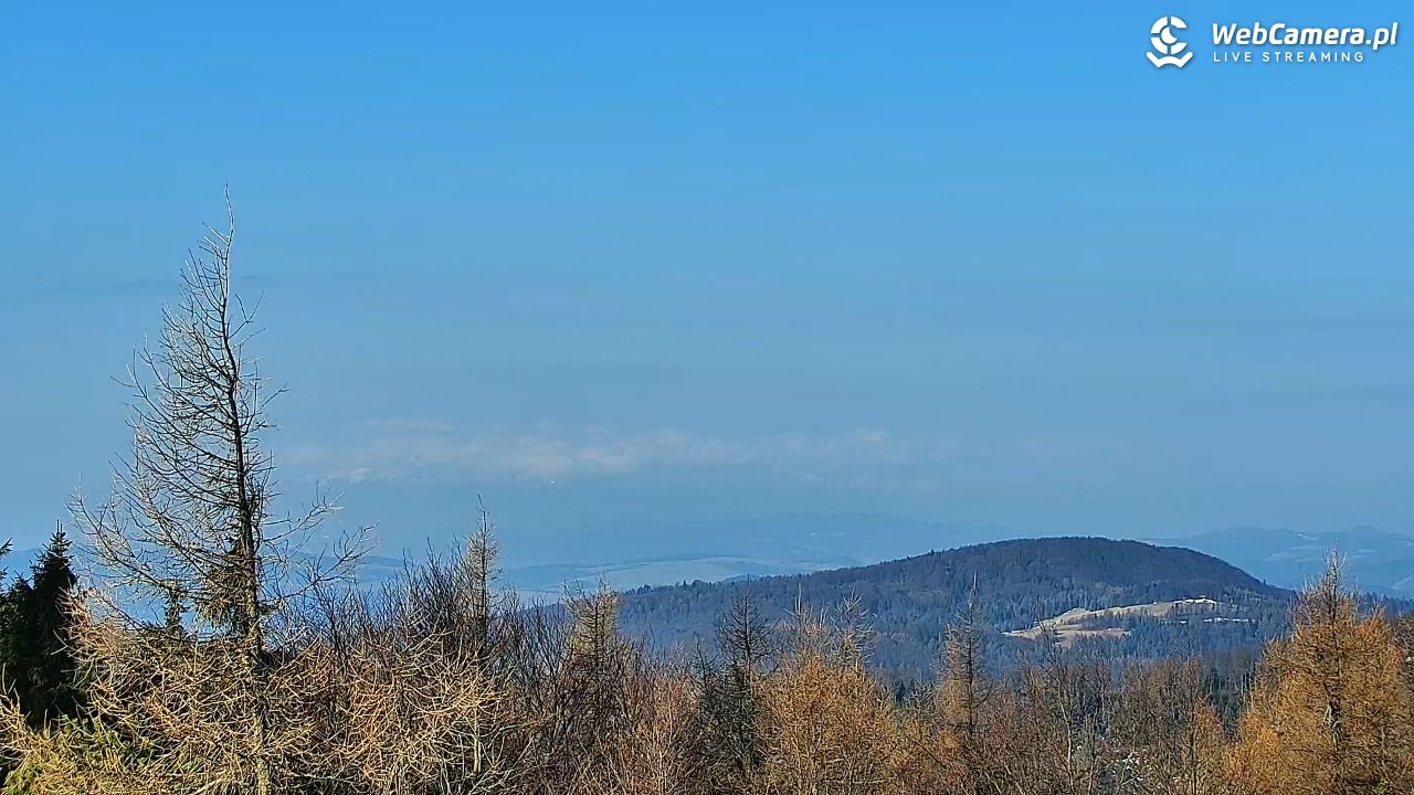 Jaworzyna Krynicka-ski - 22 marzec 2026, 07:46