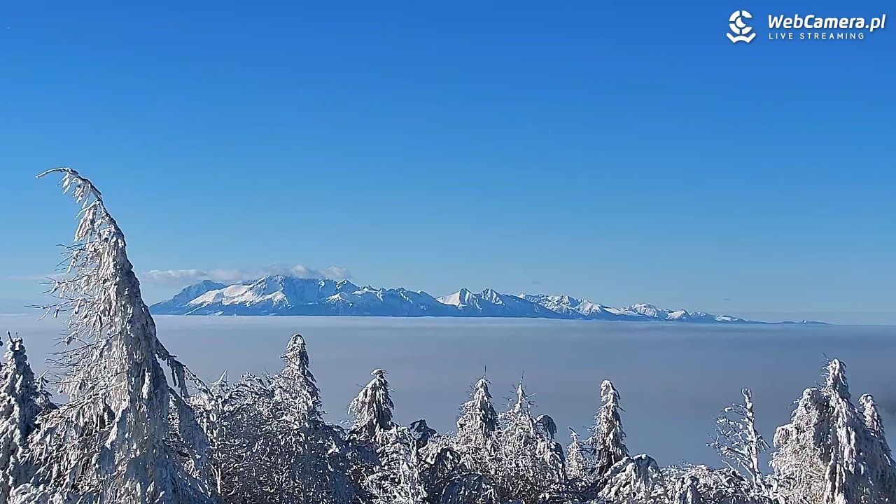 Jaworzyna Krynicka-ski - 01 luty 2026, 10:59