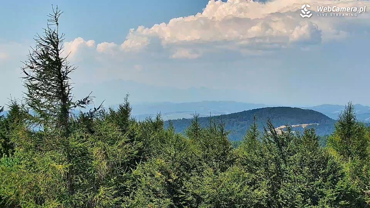 Jaworzyna Krynicka-ski - 06 sierpień 2026, 11:36